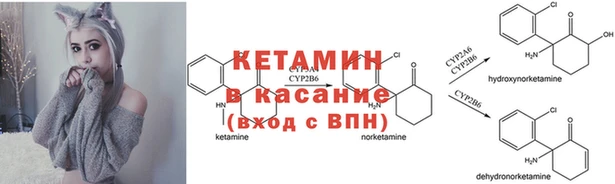 трава Магадан