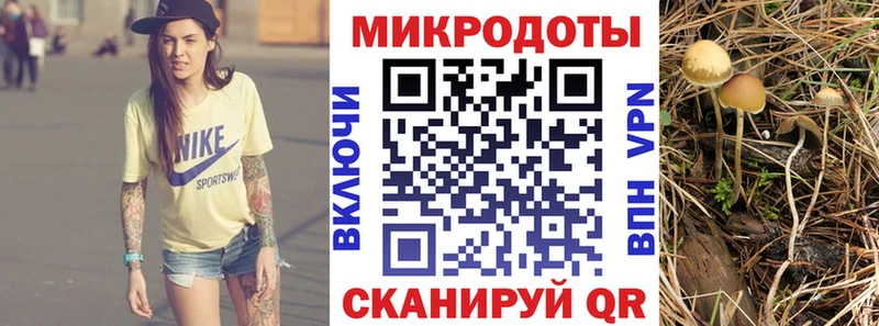Галлюциногенные грибы Magic Shrooms  Суджа 